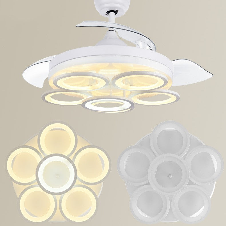 New Large LED Shaped Lights