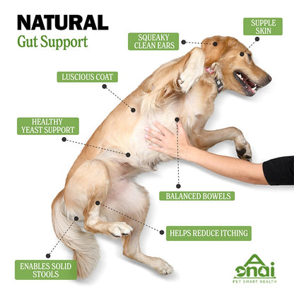 Probiotics Chews for Pets