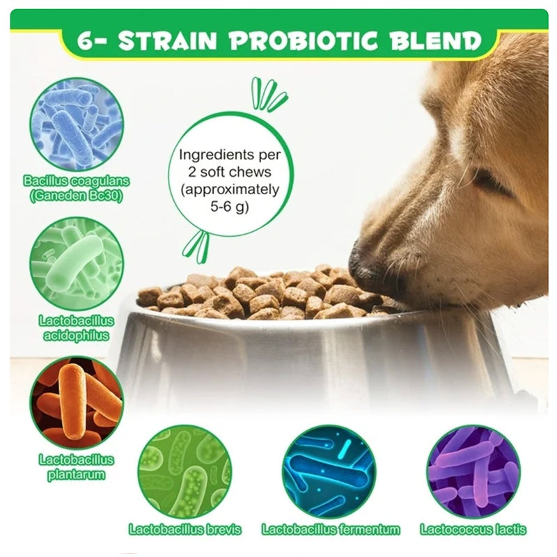 Probiotics Chews for Pets