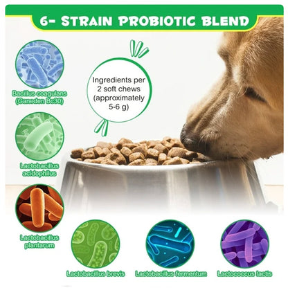 Probiotics Chews for Pets